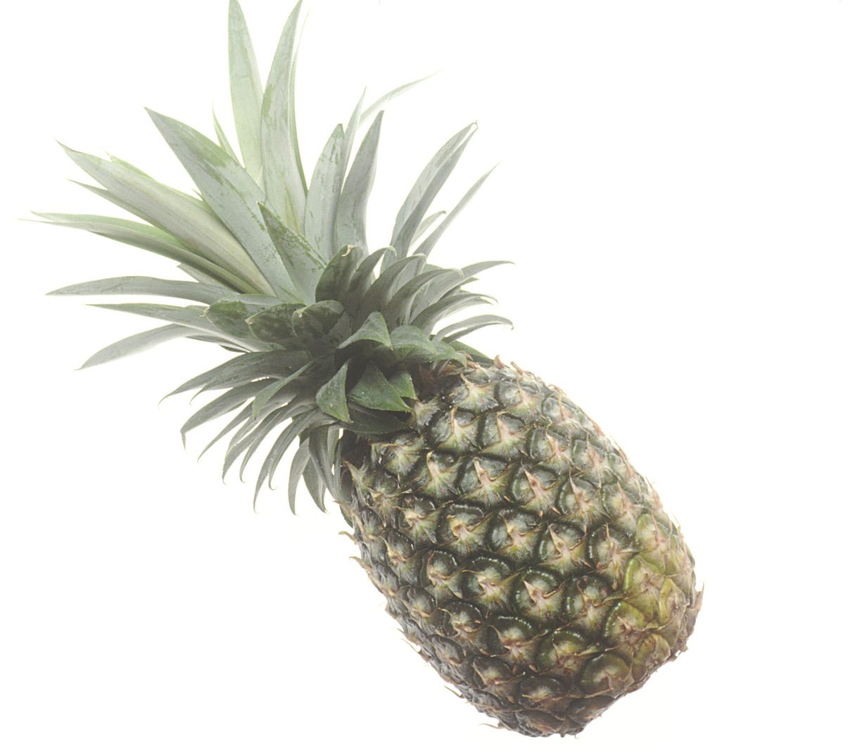A whole pineapple, the fruit bromelain comes from